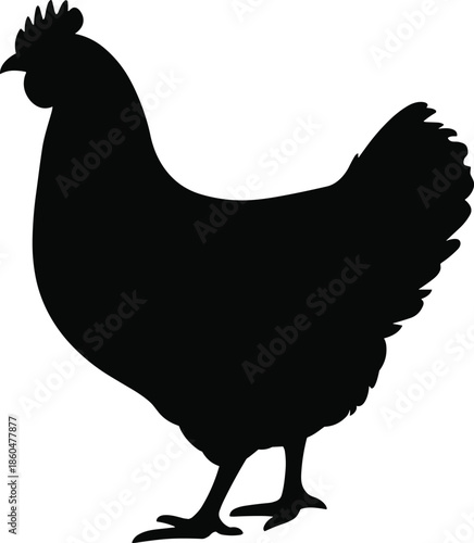 Black, chicken silhouette illustration farm poultry bird vector isolated barnyard animal rustic agriculture design simple flat icon graphic symbol logo