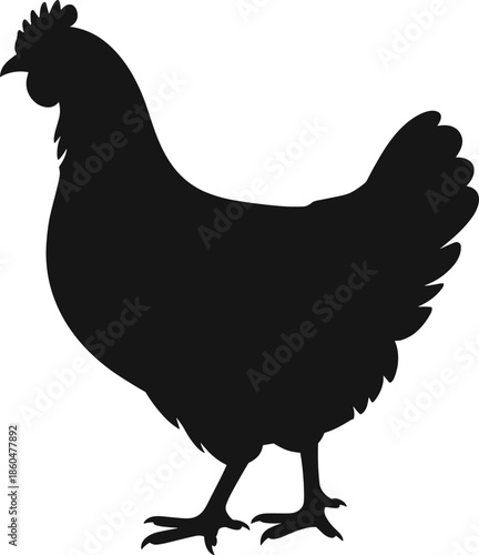 Black, chicken silhouette illustration farm poultry bird vector isolated barnyard animal rustic agriculture design simple flat graphic icon