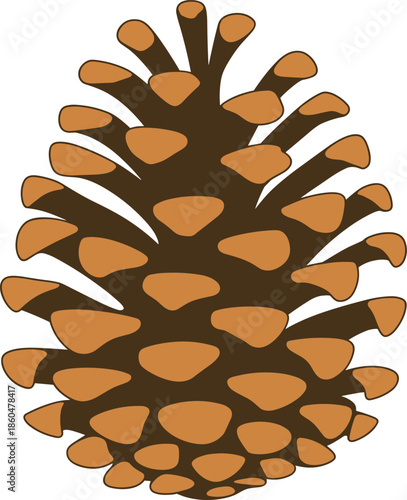 Brown, pine cone illustration natural forest seed autumn winter nature vector isolated rustic botanical design element clipart eco decor organic