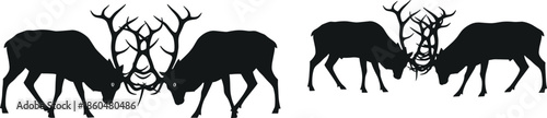 Deer fighting silhouettes showing male stags locking antlers isolated black vector illustration for wildlife nature rivalry strength concept
