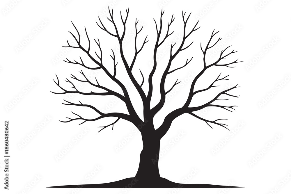 Obraz premium Bare tree silhouette black and white illustration 