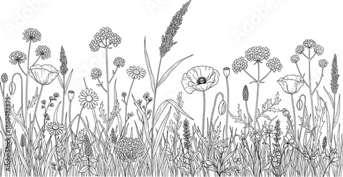 Hand drawn wildflowers and grass border, summer meadow field sketch, black botanical nature background, floral cad drawing flat vector illustration.