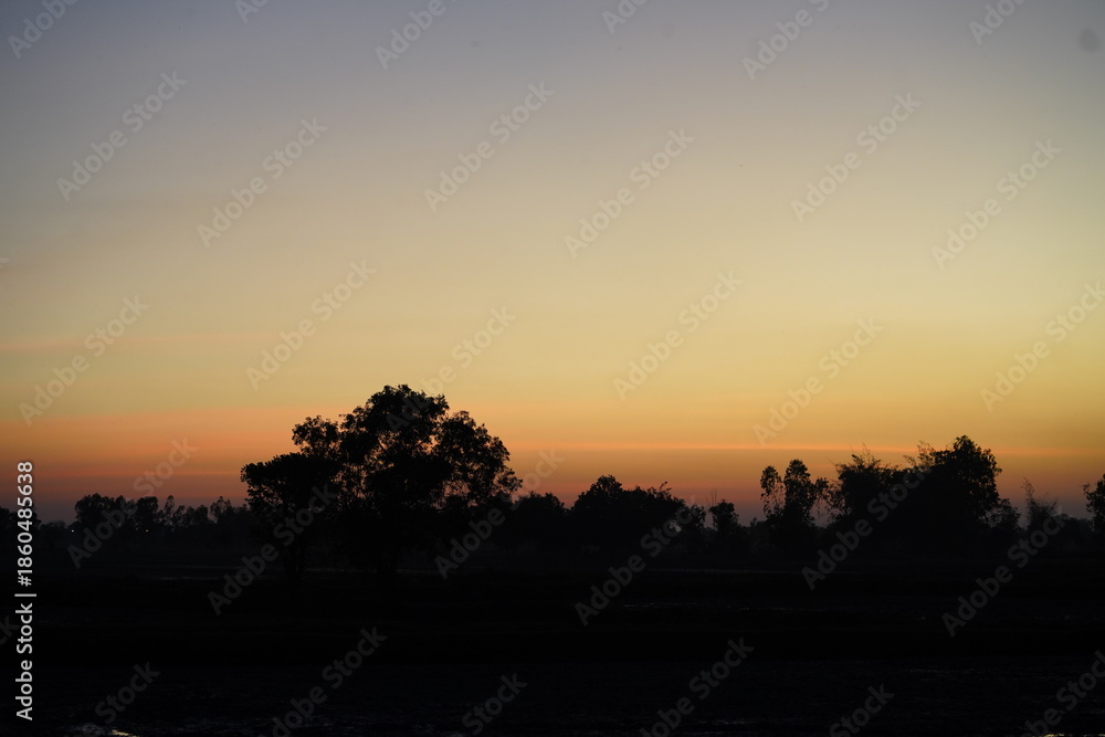 Fototapeta premium Serene Sunset Over Fields with Silhouette of Trees and Gentle hues of Orange, Pink, and Purple in Sky, Capturing Nature's Tranquility at Dusk