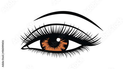 A beautiful, detailed illustration of a woman's brown eye with long, thick eyelashes and a perfectly shaped eyebrow, isolated on a white background.