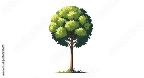 Single green tree with a perfectly round canopy and brown trunk stands on a small patch of grass against a white background.