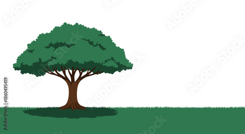 Majestic green tree with a wide spreading canopy and strong trunk stands on a lush green lawn casting a dark shadow.