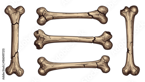 Set of old, cracked, and broken cartoon bones, illustrating ancient fossils or Halloween elements isolated on a white background.