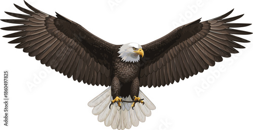 Majestic Bald Eagle Flying with Outstretched Wings Holding a Branch Vector Illustration for American Patriotism Nature Conservation and Wildlife Branding