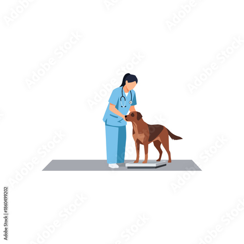 Veterinarian Examining Dog in Medical Setting.