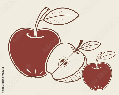 vector illustration of an apple