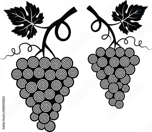 Black Silhouette of Grapes Bunches with Leaves and Curly Tendrils Isolated on White Background for Wine Label and Vineyard Design