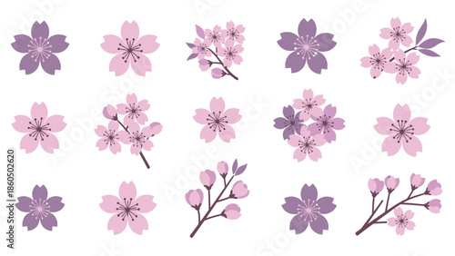 multiple flower and branch variations