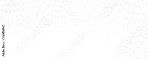 Abstract Voronoi diagram white blocks cell pattern. Geometric background design