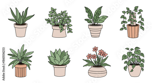 A charming set of eight different hand-drawn houseplants and succulents in cute pots isolated on a white background for interior decor concepts.