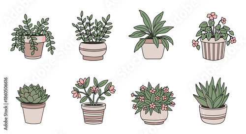 A lovely collection of eight different hand-drawn houseplants including succulents and flowering plants in cute pots for home decor.