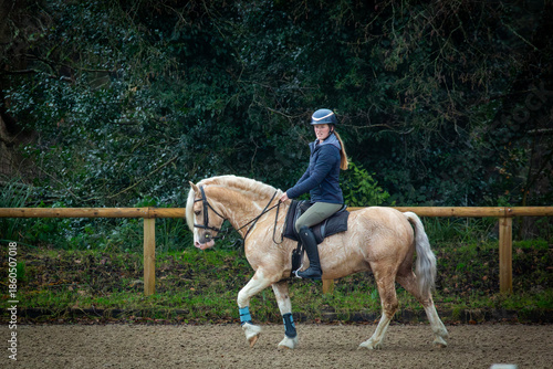 Foto Young female in a ridden horse show competition, Image shows a girl riding her S