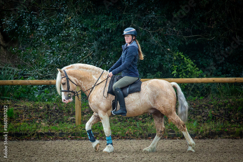 Photos Young female in a ridden horse show competition, Image shows a girl riding her S