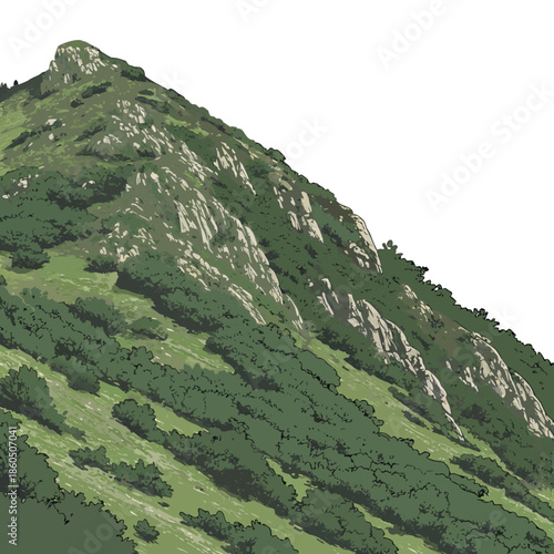 Green mountain slope with diagonal ridges and sparse trees