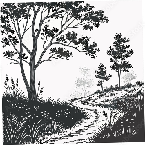 Black and white of forest clearing with natural ground dips and trees