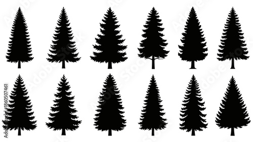 A decorative set of green vector fir trees and pine forest elements for a winter holiday Christmas nature landscape illustration design pattern