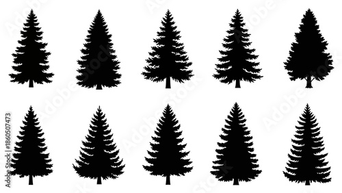 Vector set of isolated green Christmas trees and forest fern leaves featuring pine, fir, and winter nature plant elements for holiday celebration design