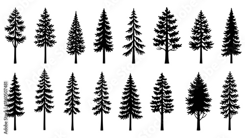 Vector silhouettes of wheat ears and evergreen fir trees create a winter forest landscape for a Christmas holiday nature celebration design illustration
