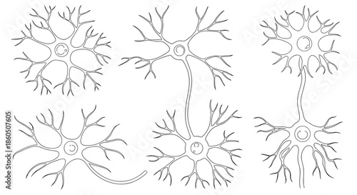 A collection of six scientific neuron or nerve cell diagrams in a clean black and white outline style isolated on a white background.