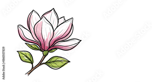A beautiful hand-drawn magnolia flower in full bloom with pink petals and green leaves in a watercolor sketch style on a white background.