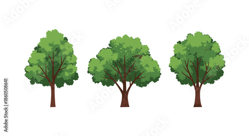 A set of three lush green deciduous trees with brown trunks representing different shapes for landscape and nature illustrations.