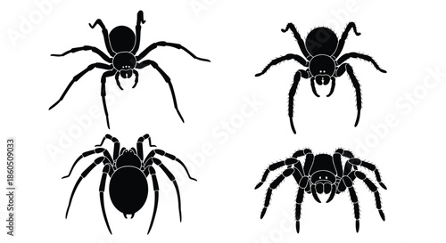 A set of four creepy black spider silhouettes viewed from above perfect for creating spooky Halloween vector illustrations.