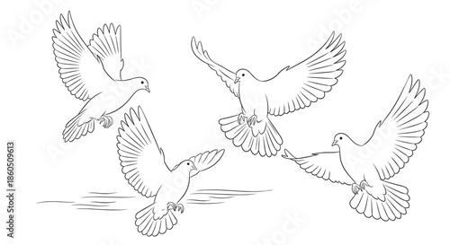 A set of four elegant hand-drawn white doves in various flying and landing poses symbolizing peace love and freedom vector.