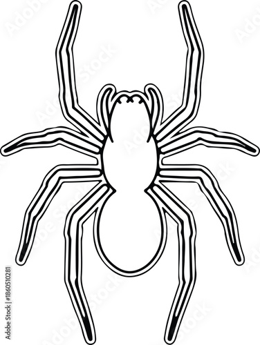Silhouette Spooky Halloween Spider Outline Black Isolated Creepy Insect Animal Web Element Vector Illustration