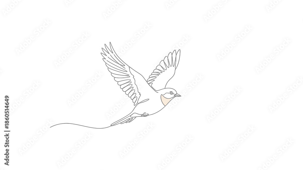 Naklejka premium Line drawing of a swallow in flight with outstretched wings and flowing tail feathers