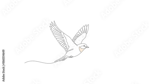 Line drawing of a swallow in flight with outstretched wings and flowing tail feathers
