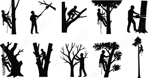 Arborist, silhouette, set, tree, surgeon, worker, cutting, chainsaw, lumberjack, climbing, maintenance, forestry, pruning, equipment, professional, 
