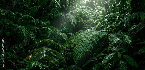 Dark Moody Tropical Foliage Texture with Ferns, Moss and Water Droplets