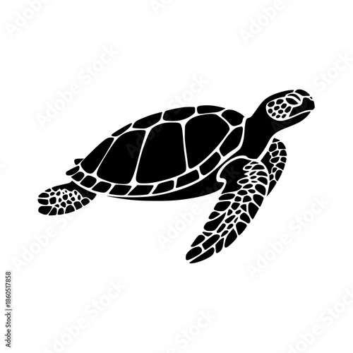 Black sea turtle swimming in ocean waters majestically