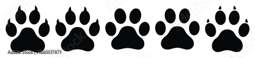 Isolated pet paw on the white background.