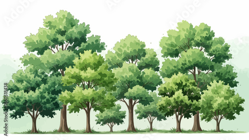 Watercolor style illustration depicting a lush group of trees with varied green foliage