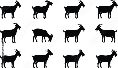 Goat, silhouette, set, farm, animal, collection, livestock, ram, horned, billy, goat, nanny, goat, domestic, agriculture, nature, mammal, grazing, vector, illustration, icons,