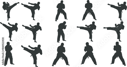Karate fighter silhouette set, martial arts competition action poses, taekwondo combat training icons, athlete kicking and punching, professional defensive sport graphic elements.