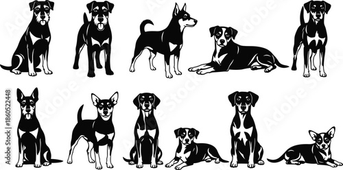 Dog silhouette vector set, domestic pet animal collection, sitting and lying canine poses, puppy breed icons, hunting and guard dog graphic elements.