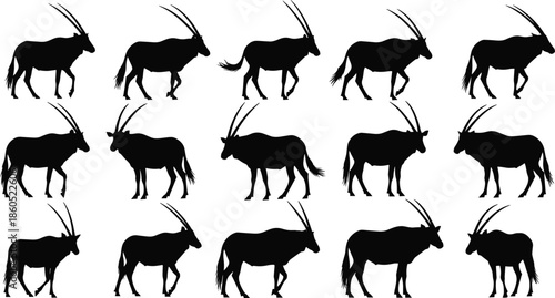 Oryx antelope silhouette vector set, African gemsbok wildlife collection, horned gazelle standing and walking shapes, safari animal nature graphic elements.