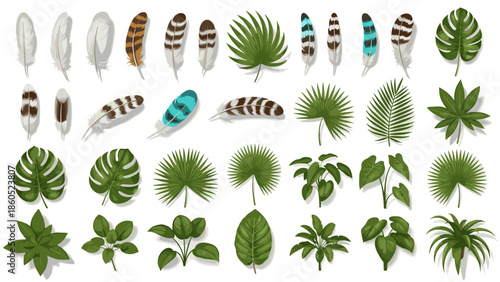 Collection of tropical and rainforest leaves with diverse shapes and shades