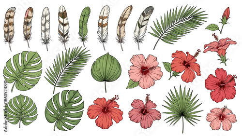 Collection of tropical leaves and flowers