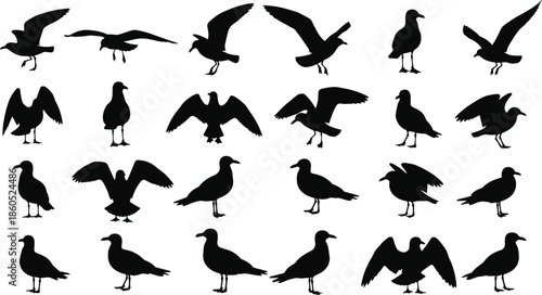 Seagull silhouette collection, flying and standing bird vector set, black design, wing spread icon, coastal wildlife, isolated graphic