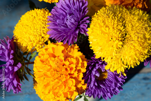 yellow and purple flowers