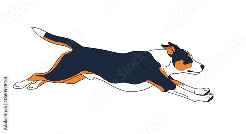 Dynamic illustration of an Appenzeller Sennenhund dog running at full speed with a powerful and energetic motion pose.