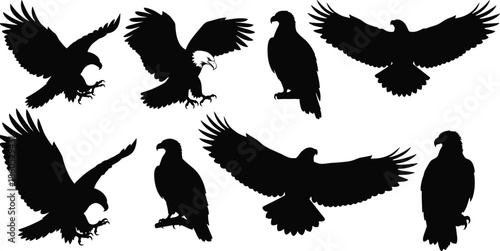 Eagle silhouette vector set, flying bird poses, perched raptor icons, freedom symbol, wildlife design, majestic wings, nature, patriotic art