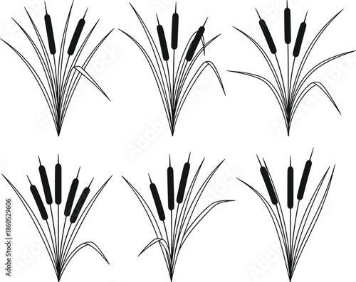 Cattail plant silhouette, black botanical icons, wetland grass vector, nature foliage design, marsh reed illustration, aquatic vegetation graphic art
